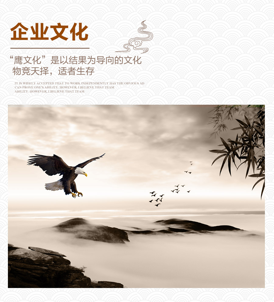 公司简介 拷贝.jpg